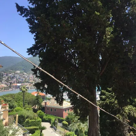 Anedi - Rapallo
